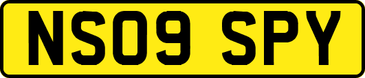 NS09SPY