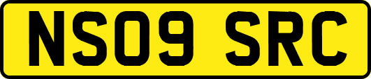 NS09SRC