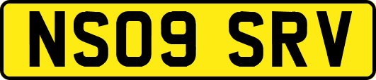 NS09SRV