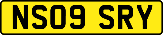 NS09SRY