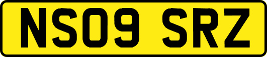 NS09SRZ