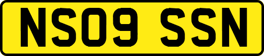 NS09SSN