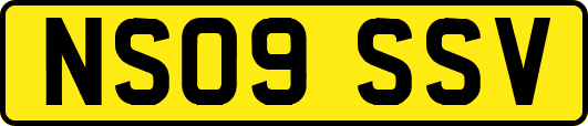 NS09SSV