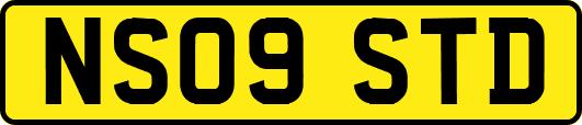 NS09STD
