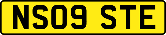 NS09STE