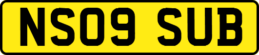 NS09SUB