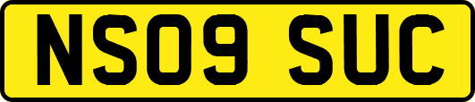 NS09SUC