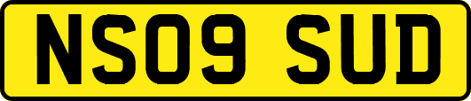 NS09SUD