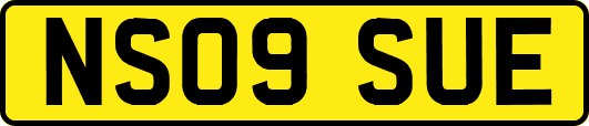 NS09SUE