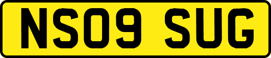 NS09SUG