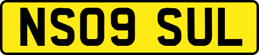 NS09SUL