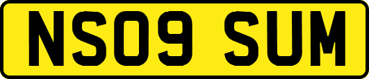NS09SUM