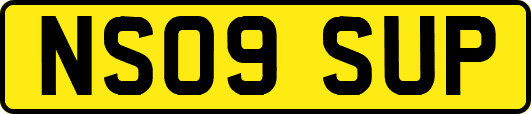 NS09SUP