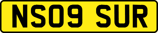 NS09SUR
