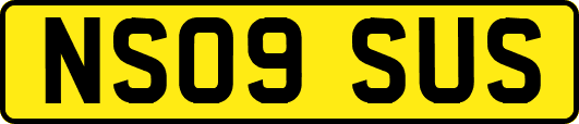 NS09SUS