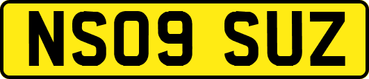 NS09SUZ