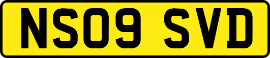 NS09SVD
