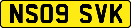 NS09SVK