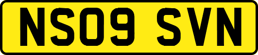 NS09SVN
