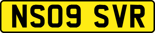 NS09SVR
