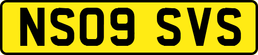 NS09SVS