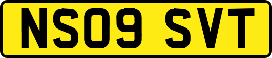NS09SVT