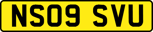 NS09SVU