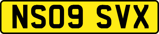 NS09SVX
