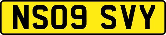 NS09SVY