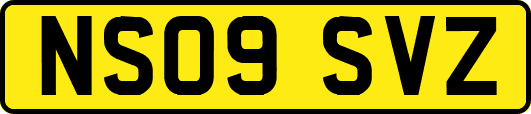NS09SVZ