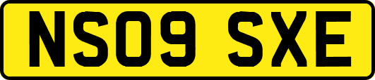NS09SXE