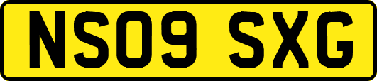 NS09SXG