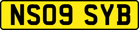 NS09SYB