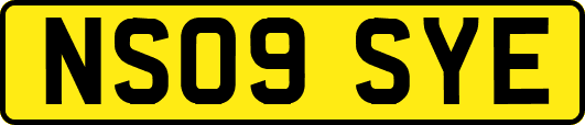NS09SYE
