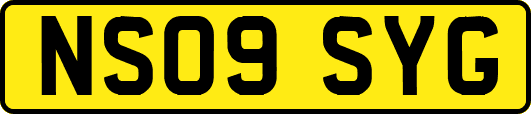 NS09SYG