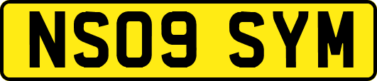 NS09SYM