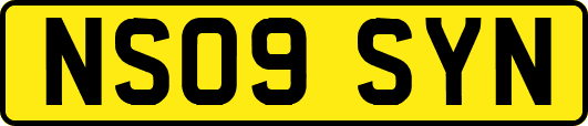 NS09SYN