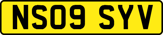 NS09SYV