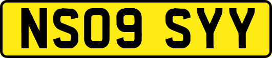 NS09SYY