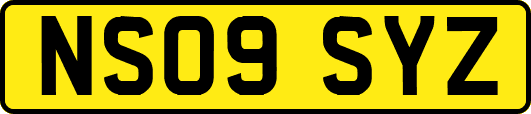 NS09SYZ