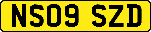NS09SZD
