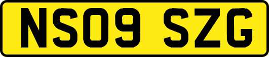 NS09SZG