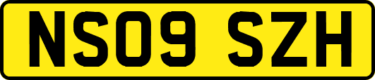 NS09SZH