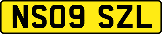 NS09SZL