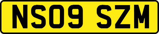 NS09SZM