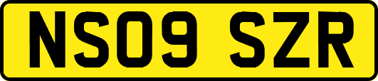 NS09SZR