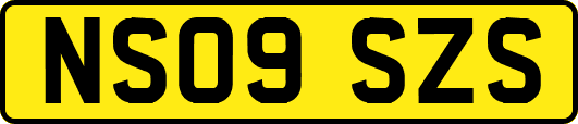 NS09SZS