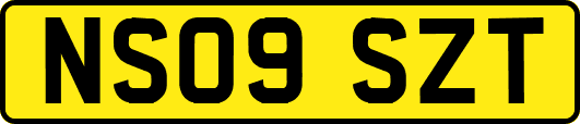 NS09SZT