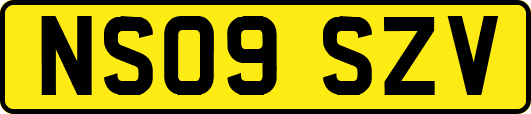 NS09SZV