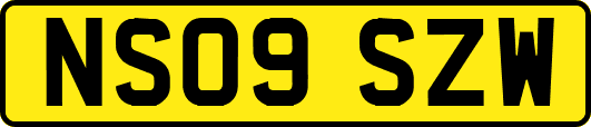 NS09SZW